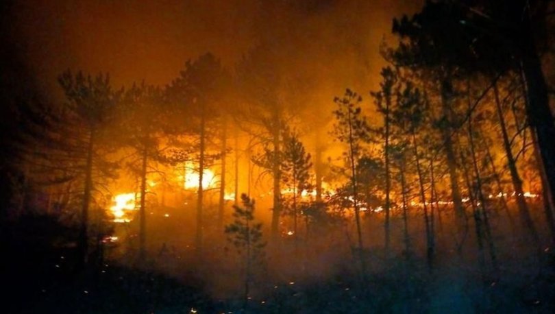  Antalya'da çıkan orman yangını, 2 saatte kontrol altına alındı