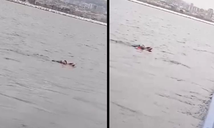 İstanbul'da vapurdan denize yolcu düştü